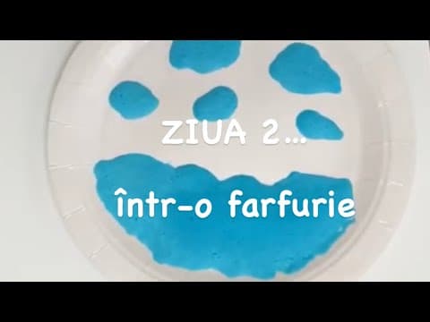 „Creatia" – ☁️Ziua a doua☁️… intr-o farfurie? (lucru manual)