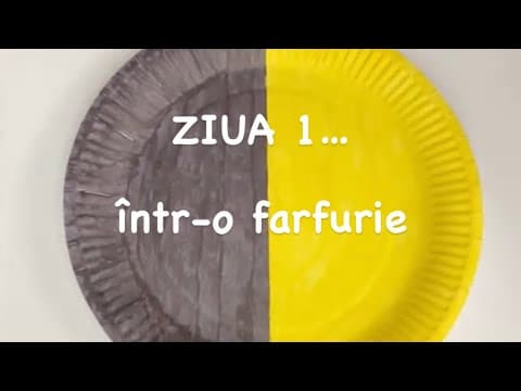 „Creatia" – „Ziua intai"… intr-o farfurie? (lucru manual)